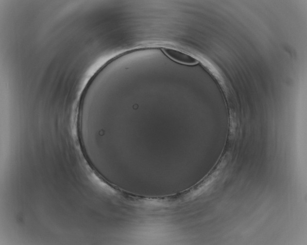 X0000112911102200909141245