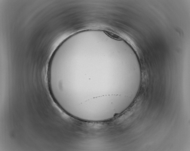 X0000112911103200909141245