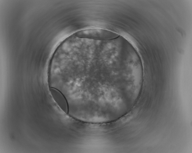 X0000112911104200909141245