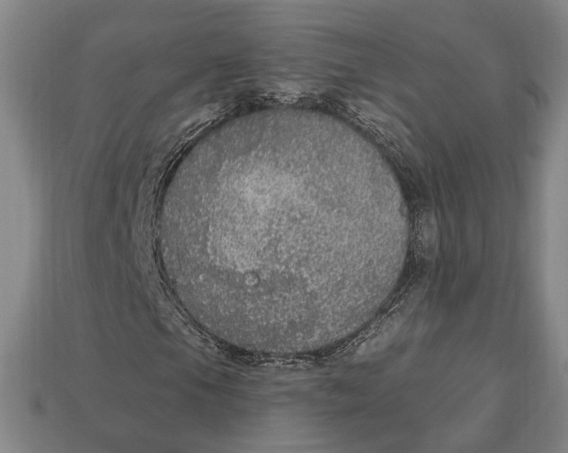 X0000112911105200909141245