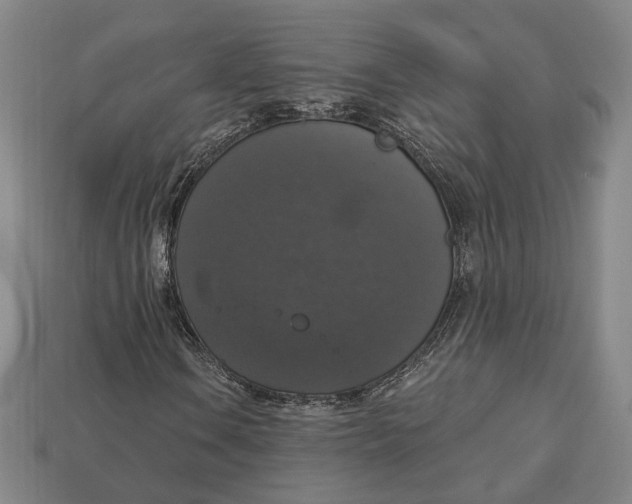 X0000112911106200909141245