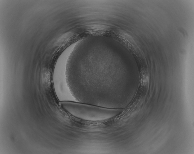 X0000112911108200909141245