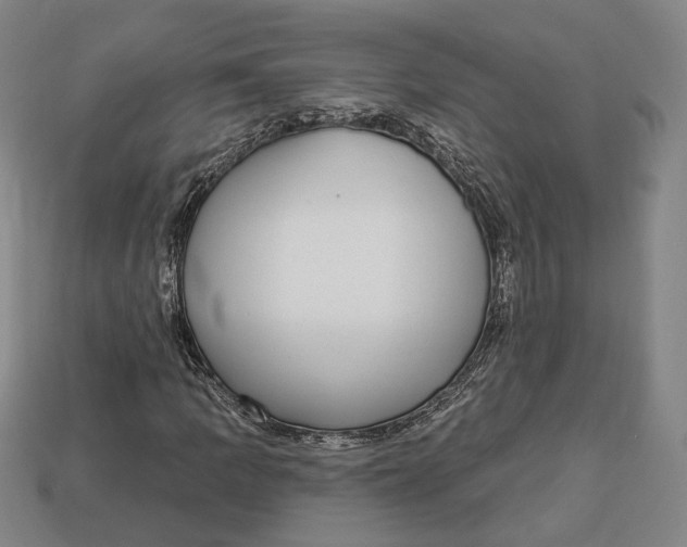 X0000112911109200909141245