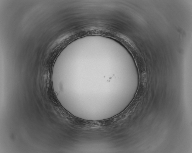 X0000112911111200909141245