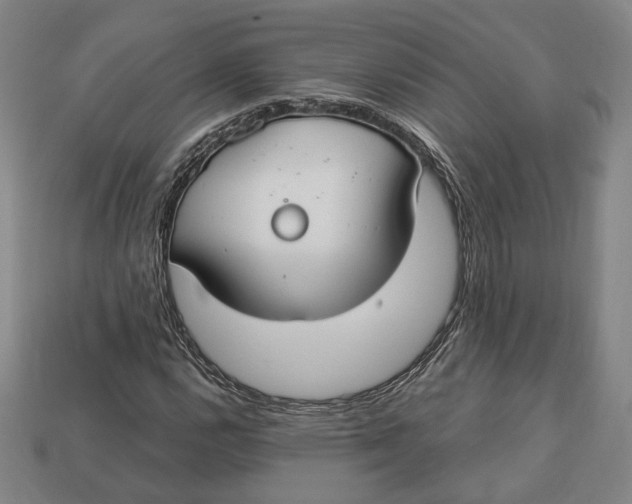 X0000112911112200909141245