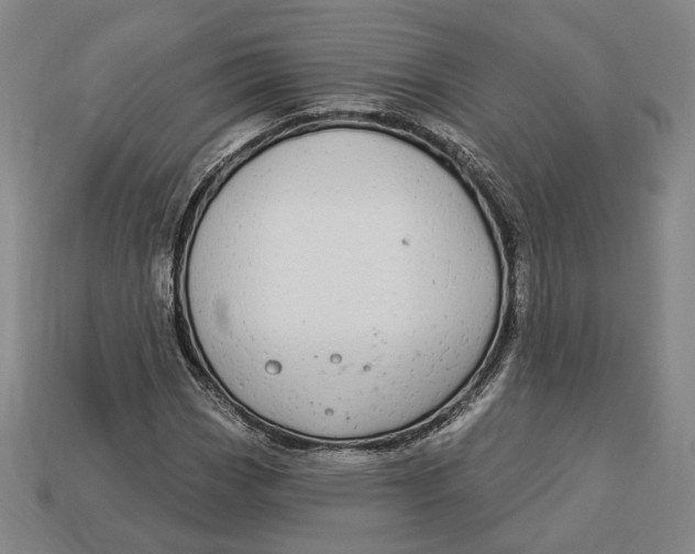 X0000112911113200909141245