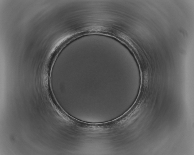 X0000112911115200909141245