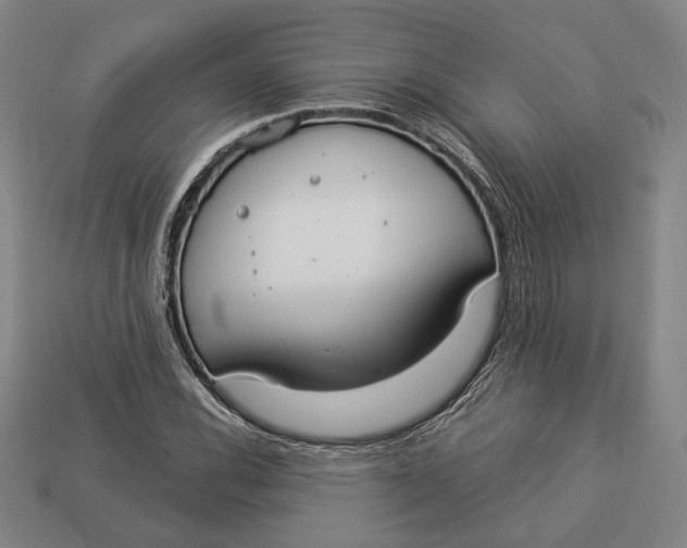 X0000112911116200909141245