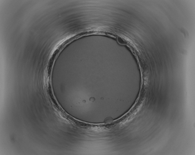 X0000112911117200909141245