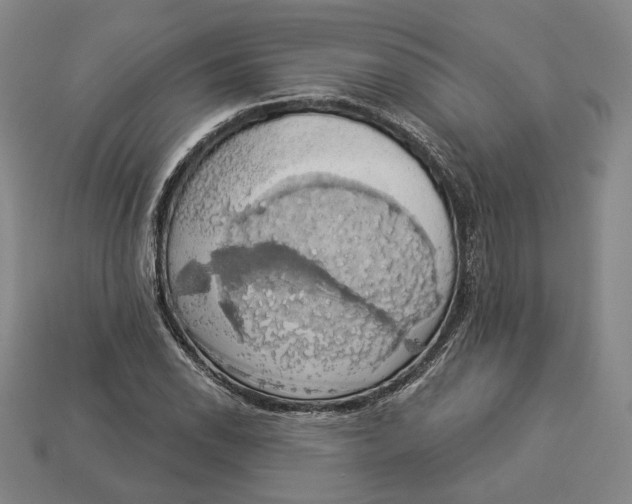 X0000112911118200909141245