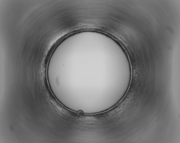 X0000112911119200909141245