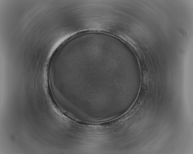 X0000112911120200909141245