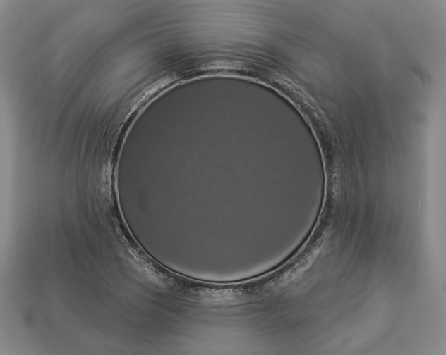 X0000112911121200909141245