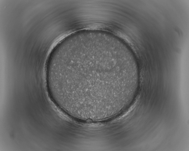 X0000112911122200909141245