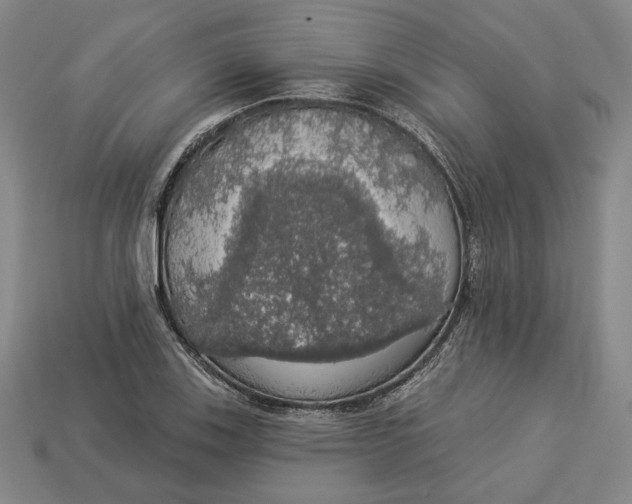 X0000112911123200909141245