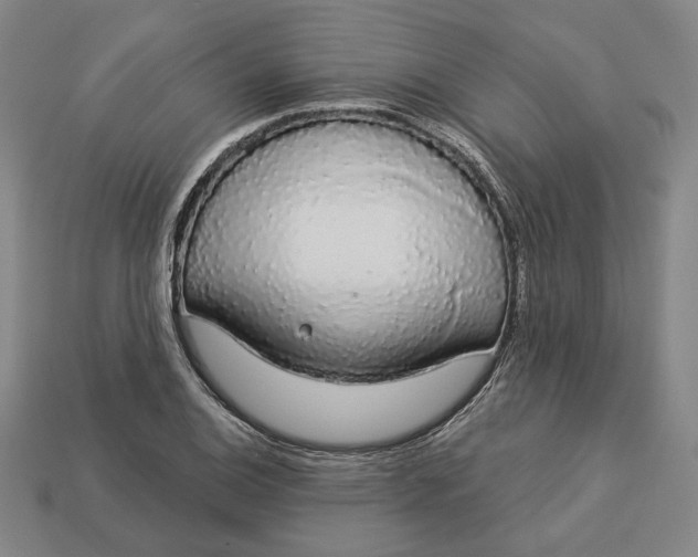 X0000112911124200909141245