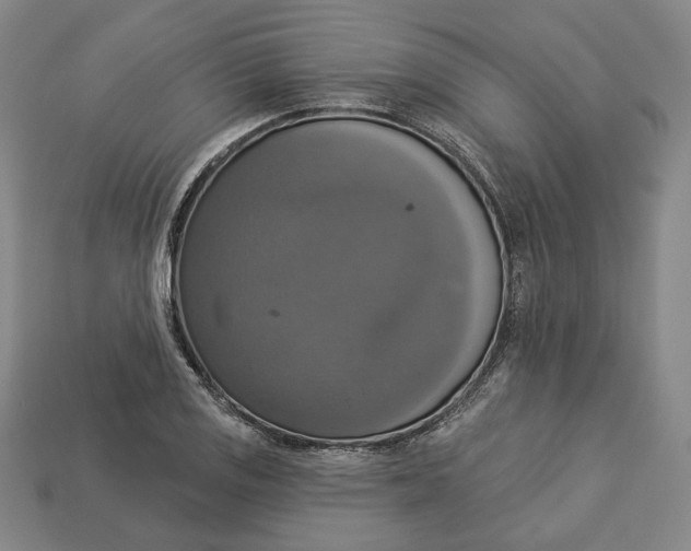 X0000112911125200909141245