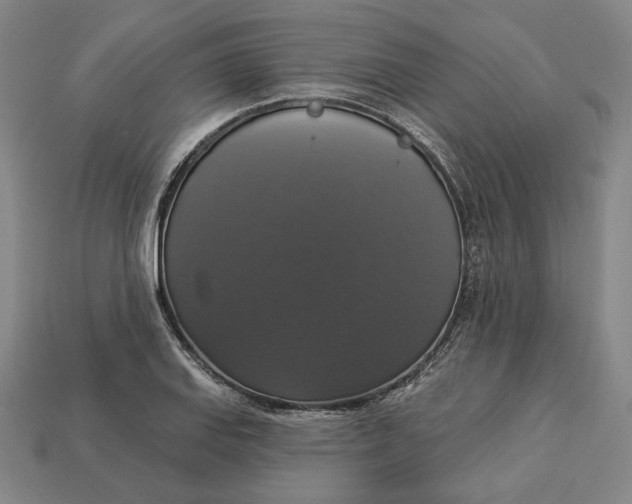 X0000112911127200909141245