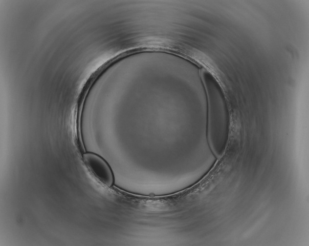 X0000112911128200909141245