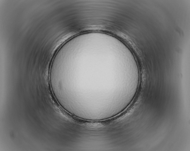 X0000112911129200909141245