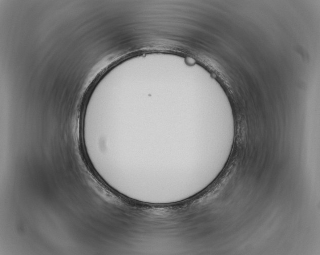 X0000112911130200909141245