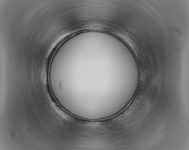 X0000112911131200909141245