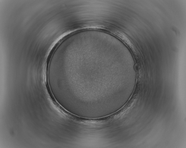 X0000112911132200909141245