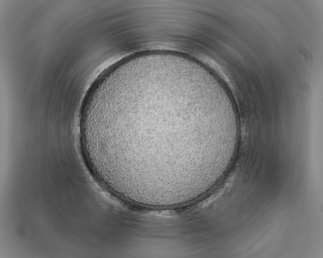 X0000112911133200909141245