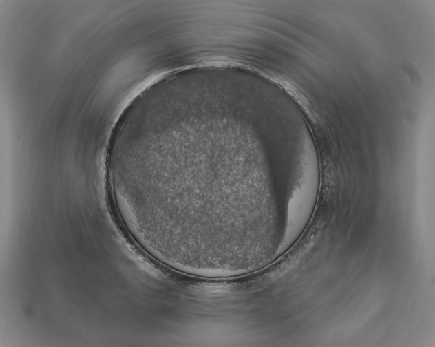 X0000112911134200909141245