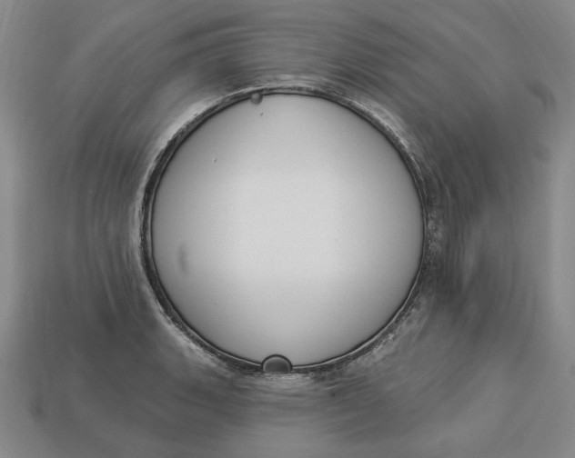 X0000112911135200909141245