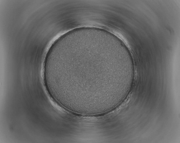 X0000112911136200909141245