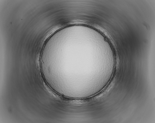 X0000112911137200909141245