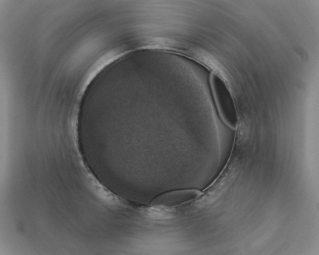 X0000112911138200909141245