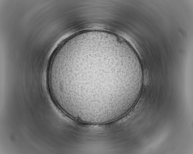 X0000112911139200909141245