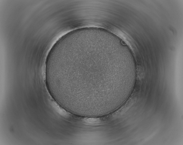 X0000112911140200909141245