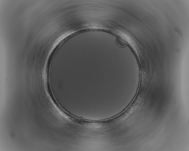 X0000112911141200909141245