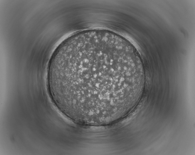 X0000112911142200909141245