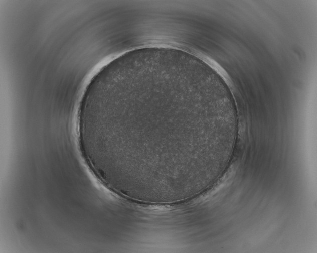 X0000112911144200909141245