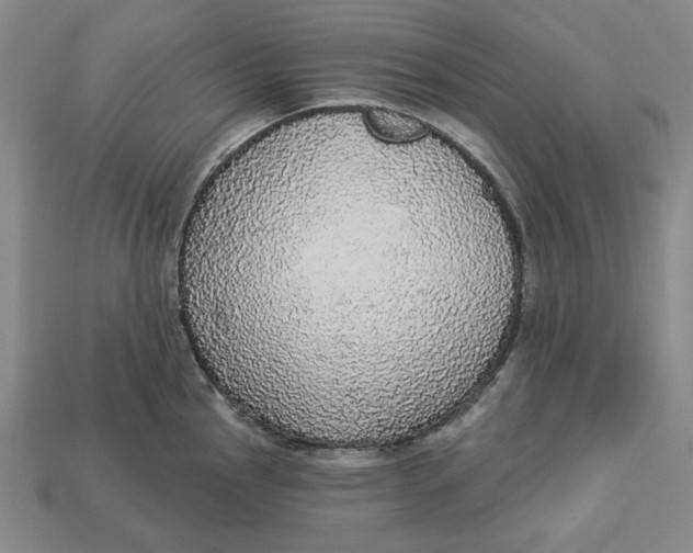 X0000112911145200909141245