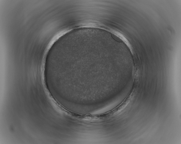 X0000112911146200909141245