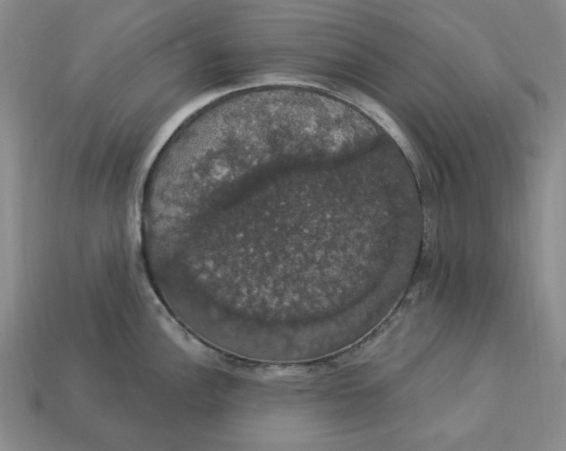 X0000112911148200909141245