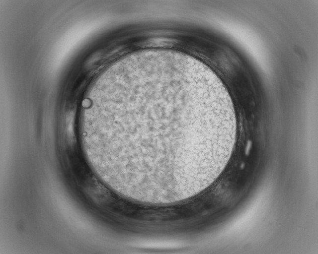 X0000112911150200909141245