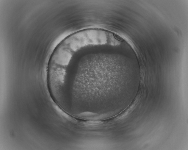 X0000112911151200909141245