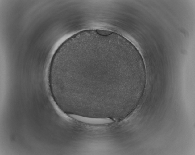 X0000112911152200909141245