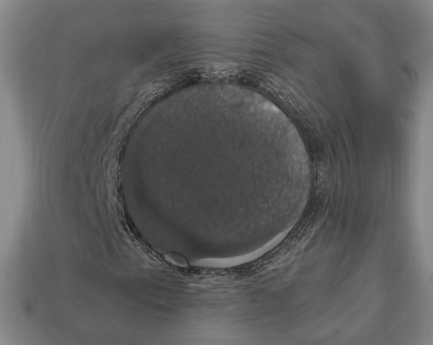 X0000112911153200909141245