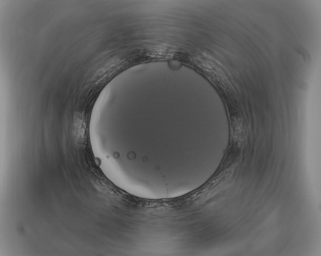 X0000112911154200909141245