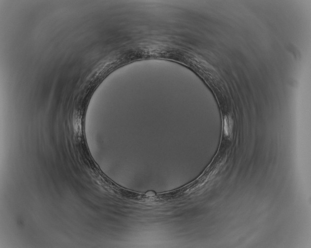 X0000112911155200909141245