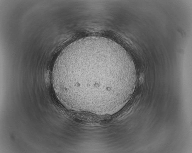 X0000112911156200909141245