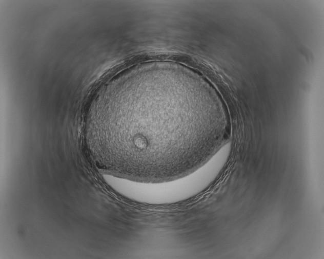 X0000112911157200909141245