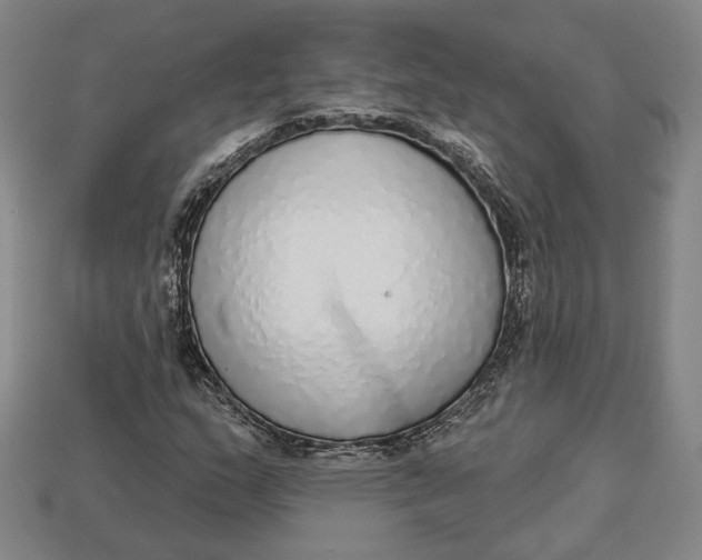 X0000112911159200909141245